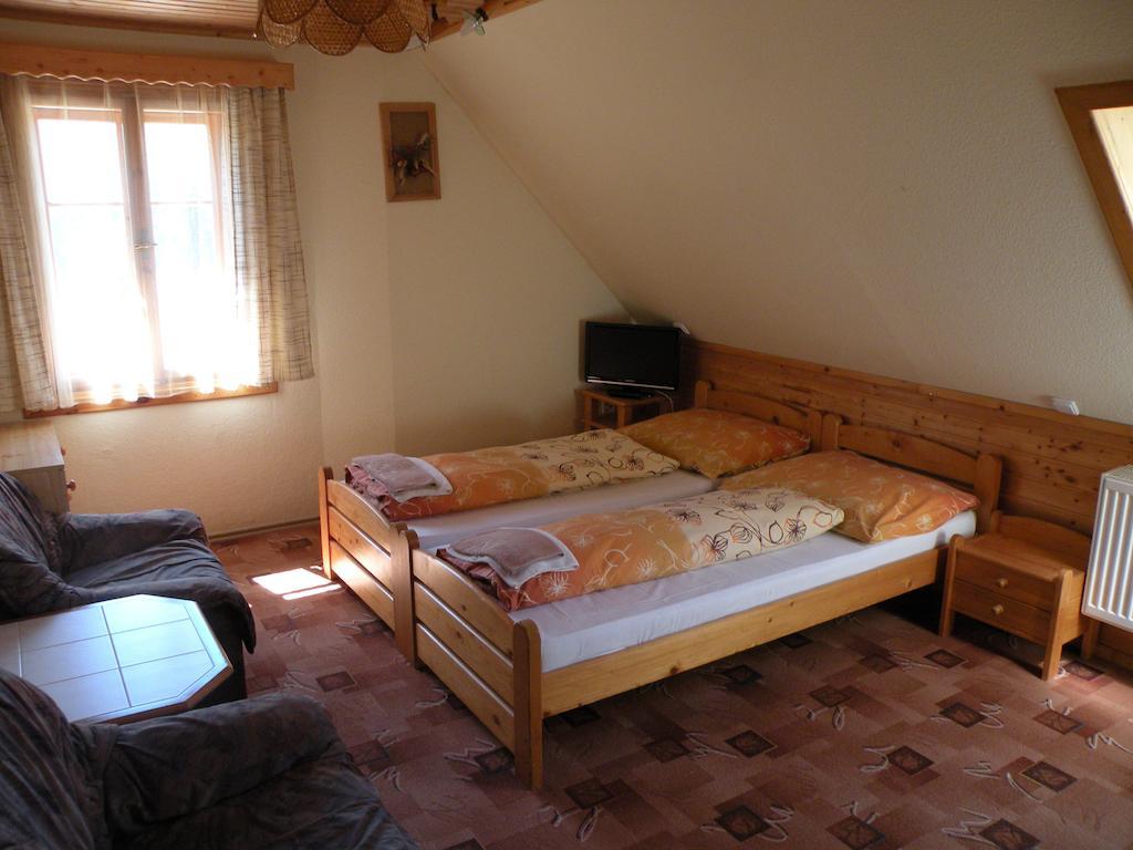 Hotel Lesni Dum Янске-Лазне Номер фото
