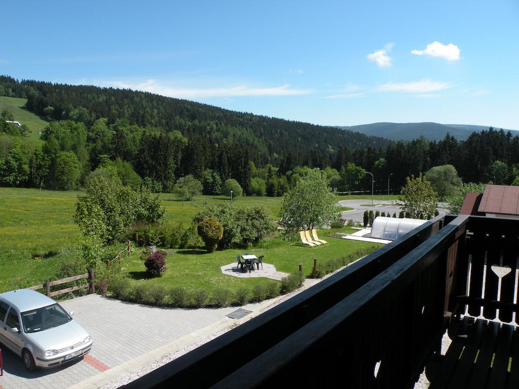 Hotel Lesni Dum Янске-Лазне Номер фото