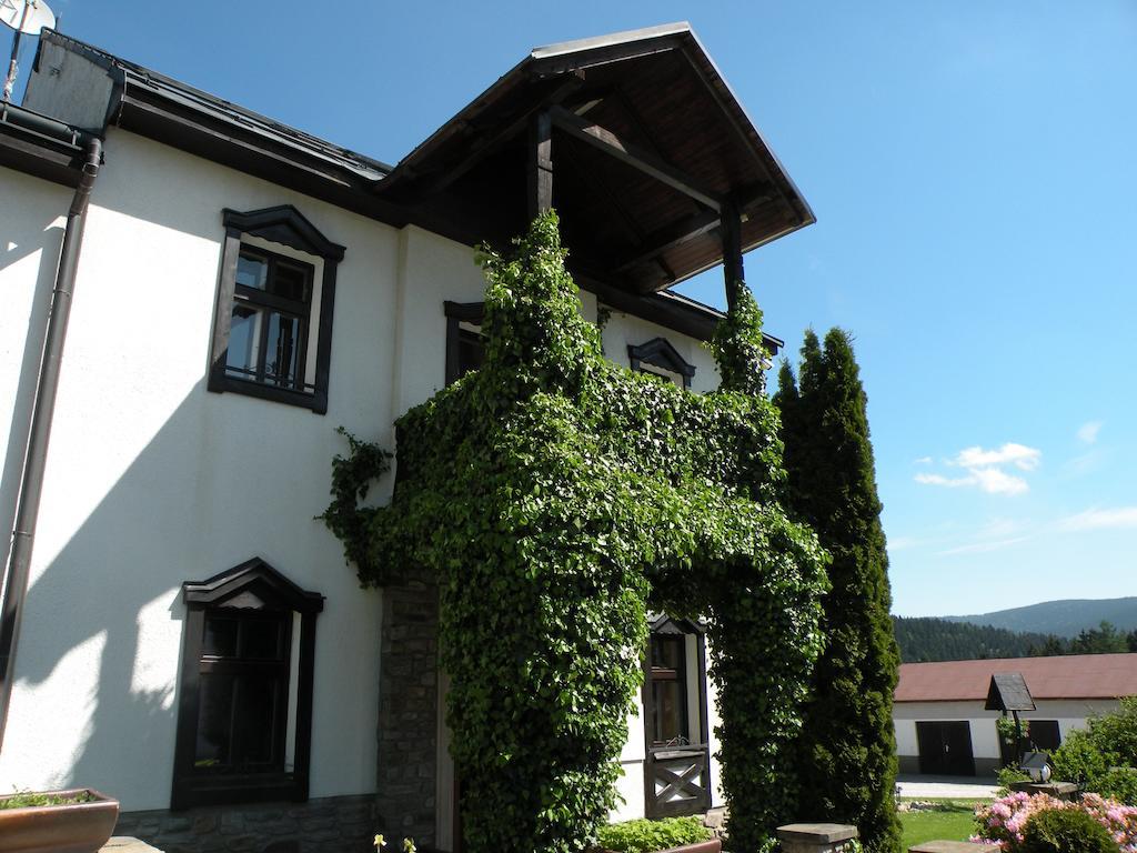 Hotel Lesni Dum Янске-Лазне Номер фото