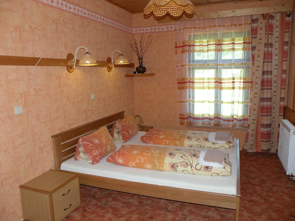 Hotel Lesni Dum Янске-Лазне Номер фото